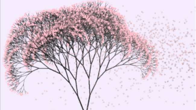 樱花树