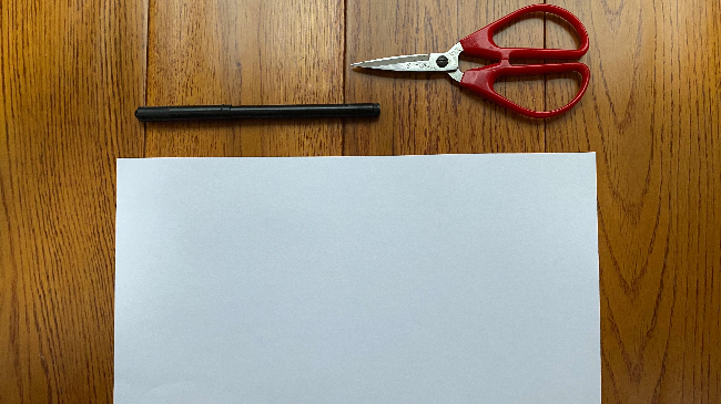 a4纸的尺寸